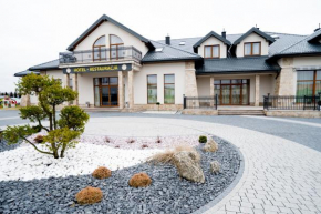 Отель Hotel Aleksandria  Седльце